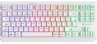 GAMEBOOSTER G75 Elya Rainbow Beyaz TKL Membrane Gaming Klavye